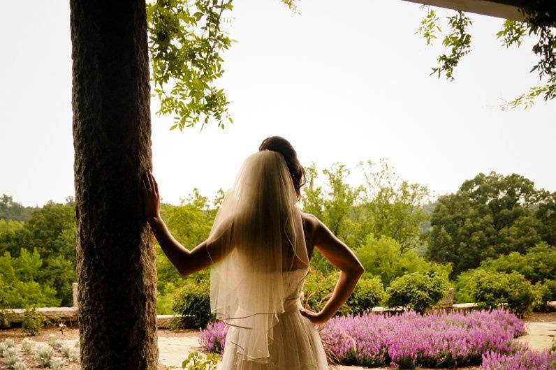 WDB Photography