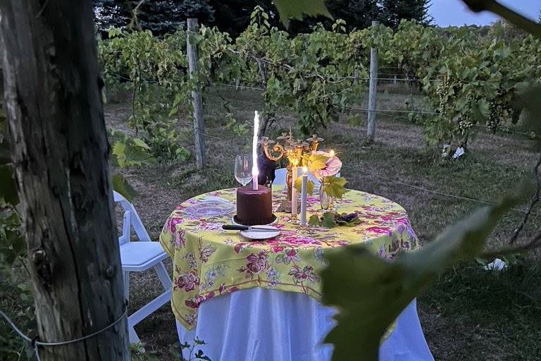 Intimate celebration in vineya