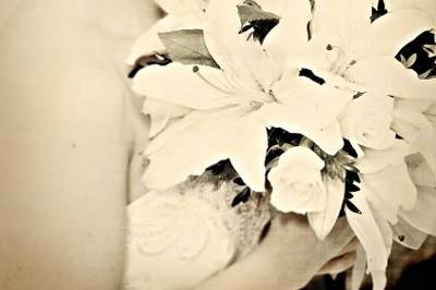 Amanda Reed Photographer