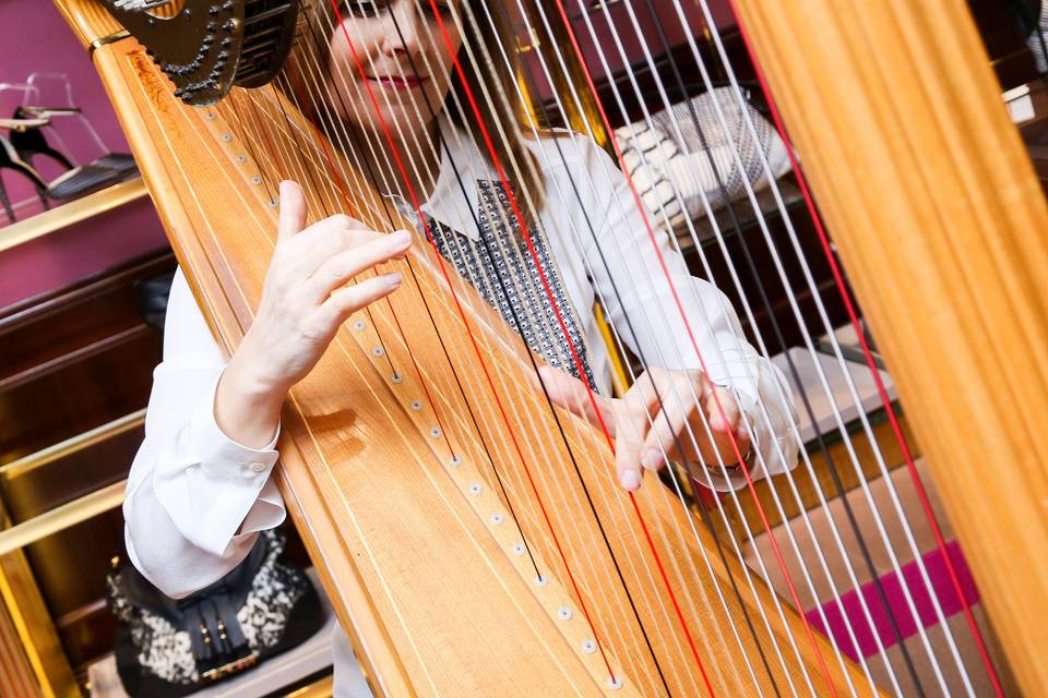 Music City Harp - Kirsten Agresta Copely