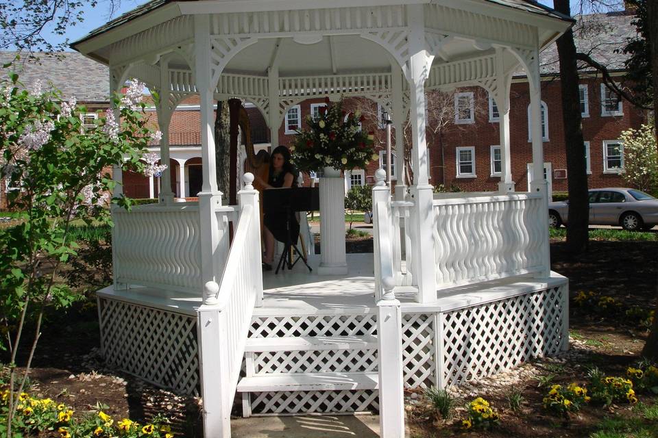 Gazebo setup