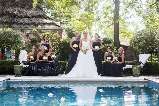 Wendy Mitchell Photography