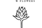 Molly Oliver Flowers