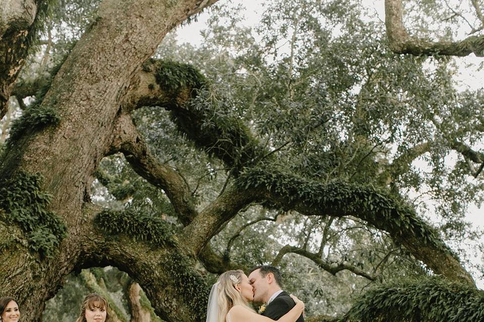 Lazy Tree Ceremony