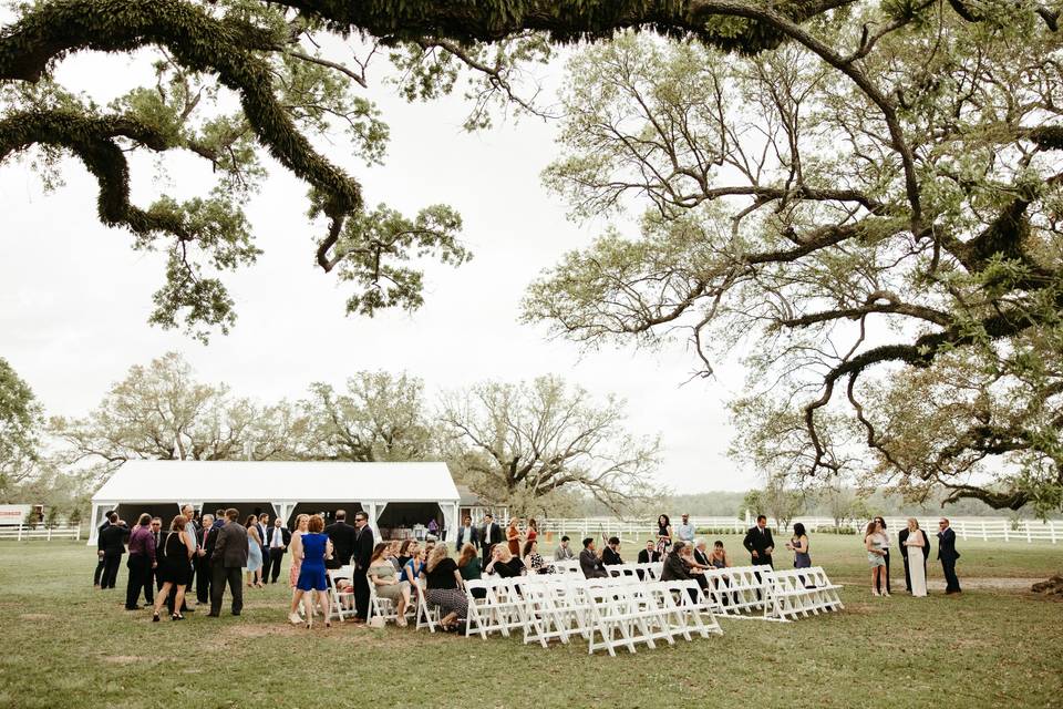 Ceremony at Lazy Tree