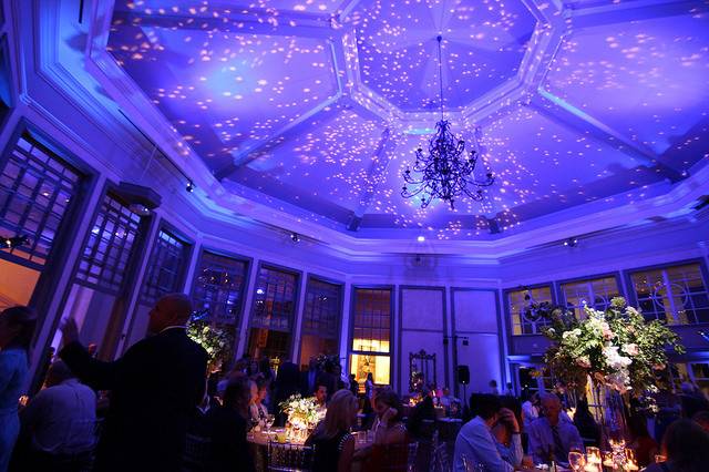 Starry gobo projection with blue accent and uplighting at The Daniel Stowe Botanical Gardens