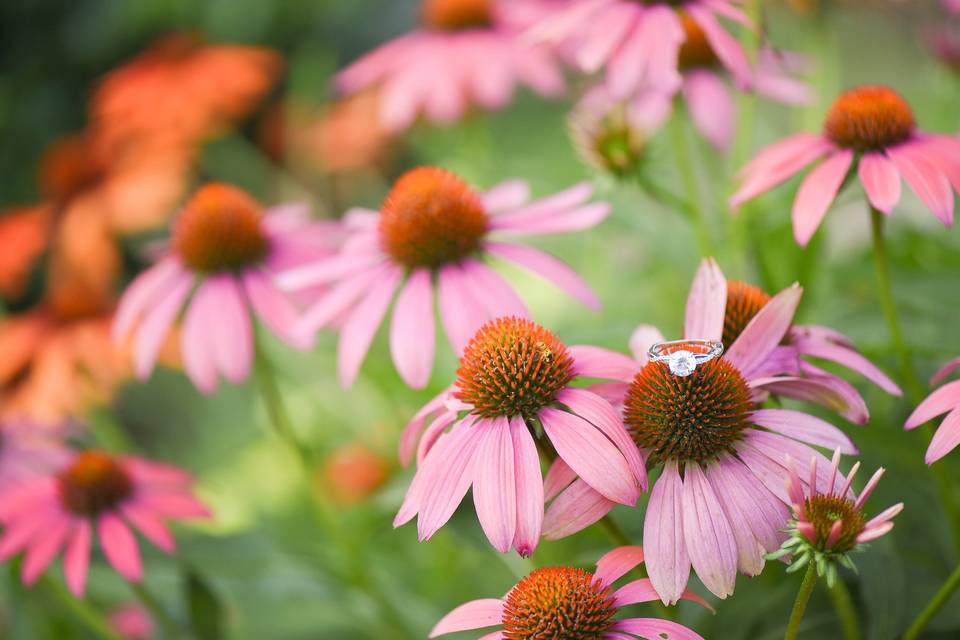 Garden summer engagement