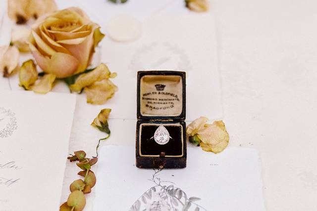 Carley Ann Photography