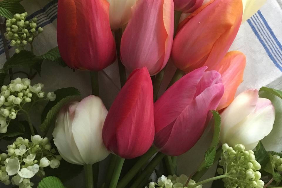 A bouquet of tulips
