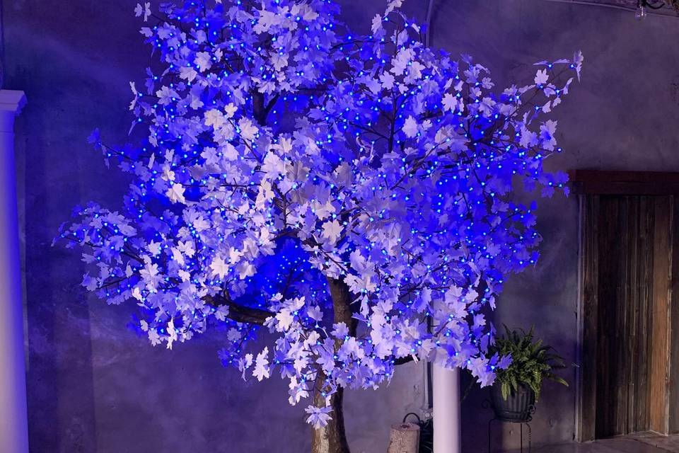 Radiant tree - Light Blue