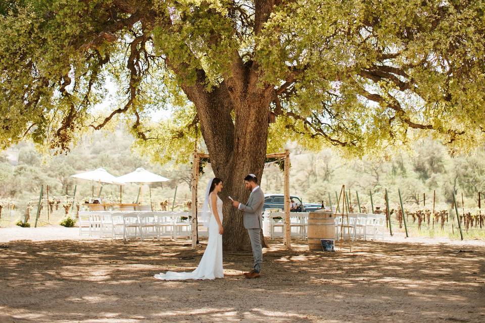 CASS Winery wedding image