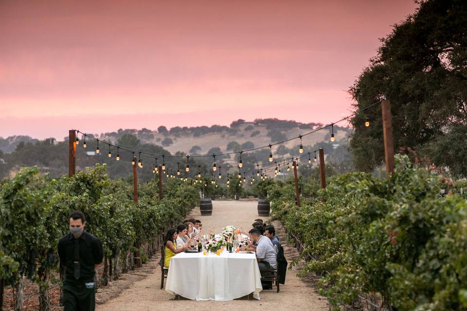 CASS Winery wedding image