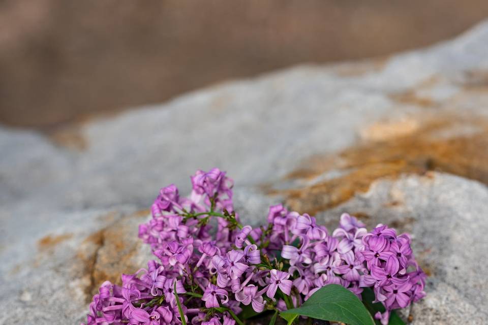 Rings and flowers