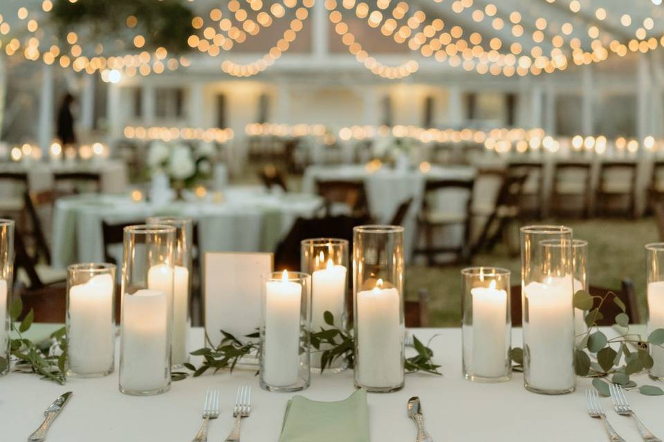 Green and White Reception