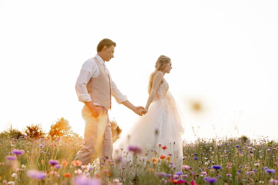 Wildflower Field
