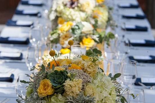 Mindy Rosenberg Design