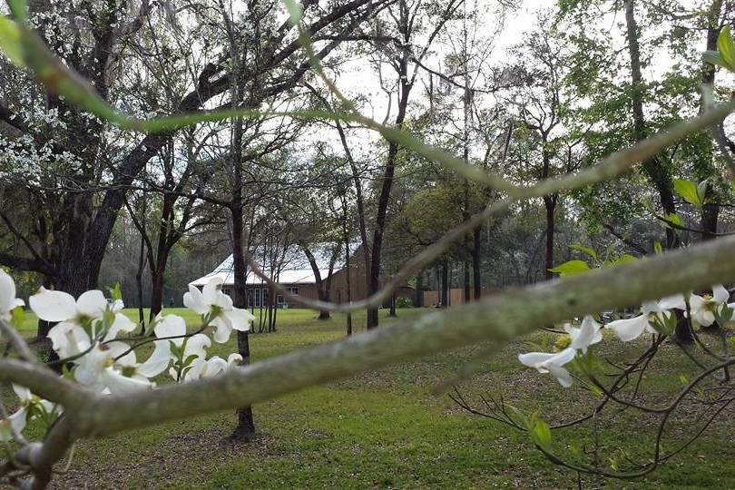 Farm in Spring