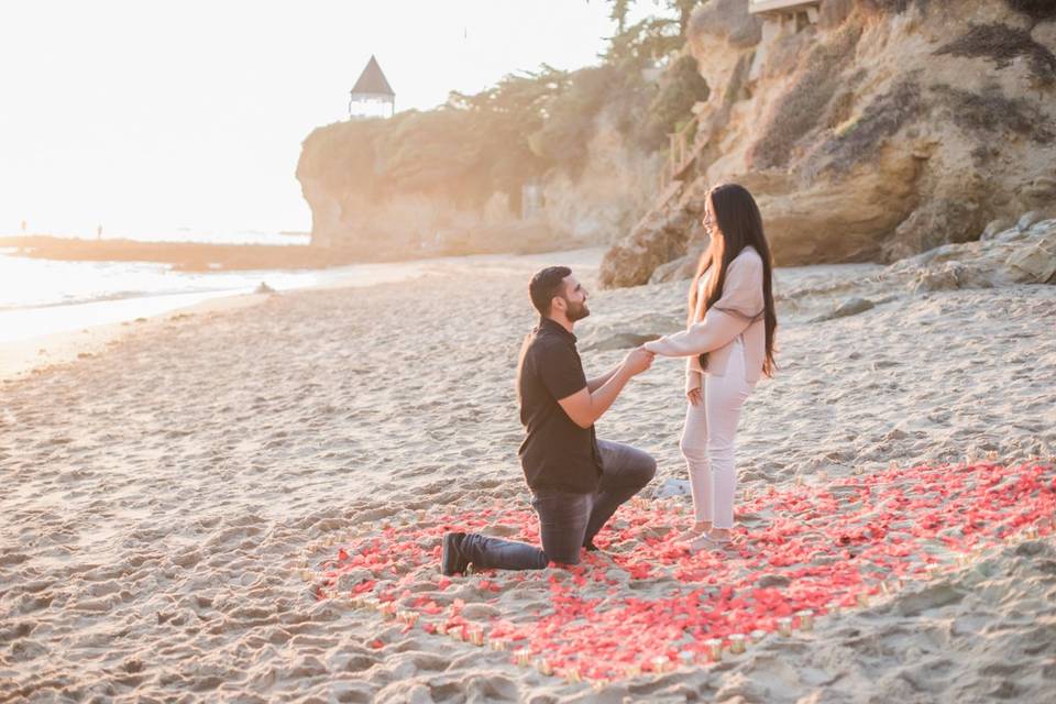Proposal - Amy Captures Love