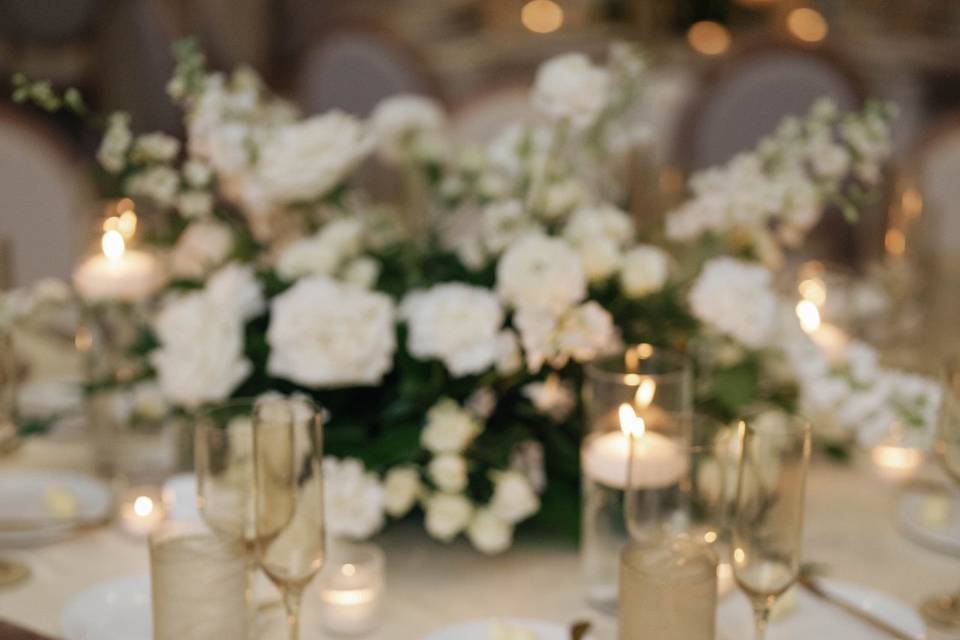 Elyse Hall Photography