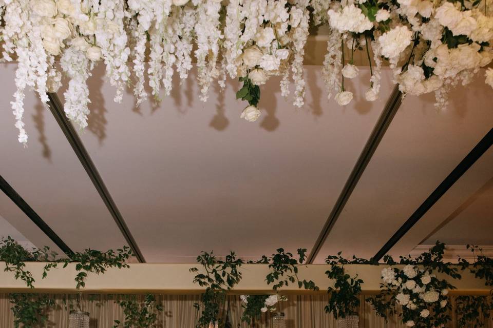 Miranda harper photo