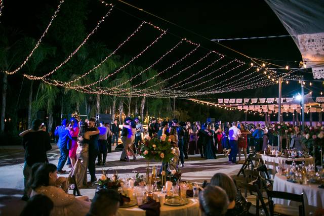Dancing under the stars