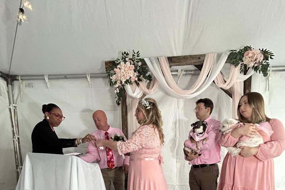Mr. & Mrs  E