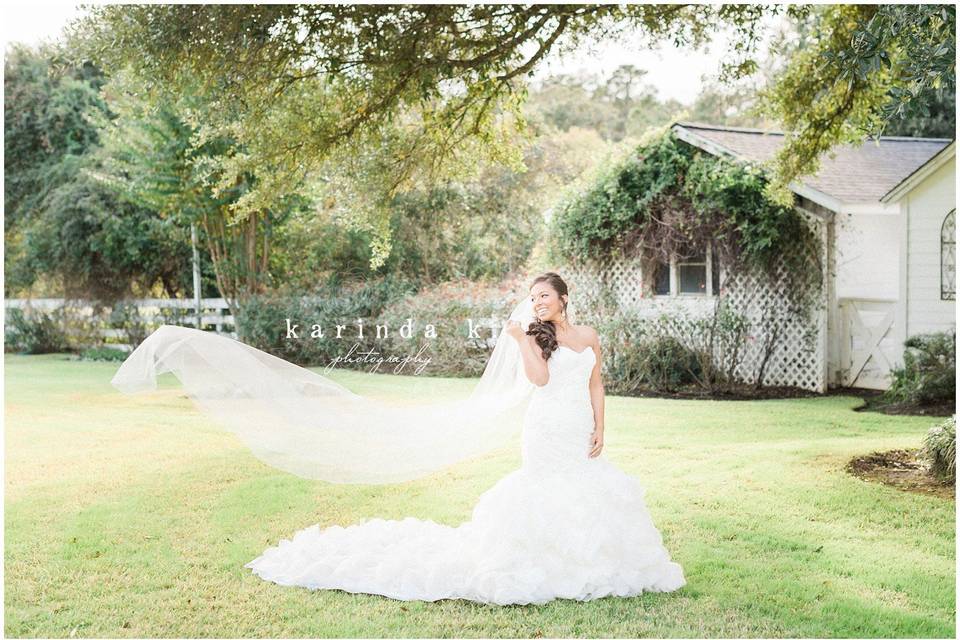 Wedding dress and veil