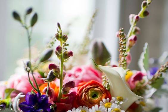 BridleWood Blooms