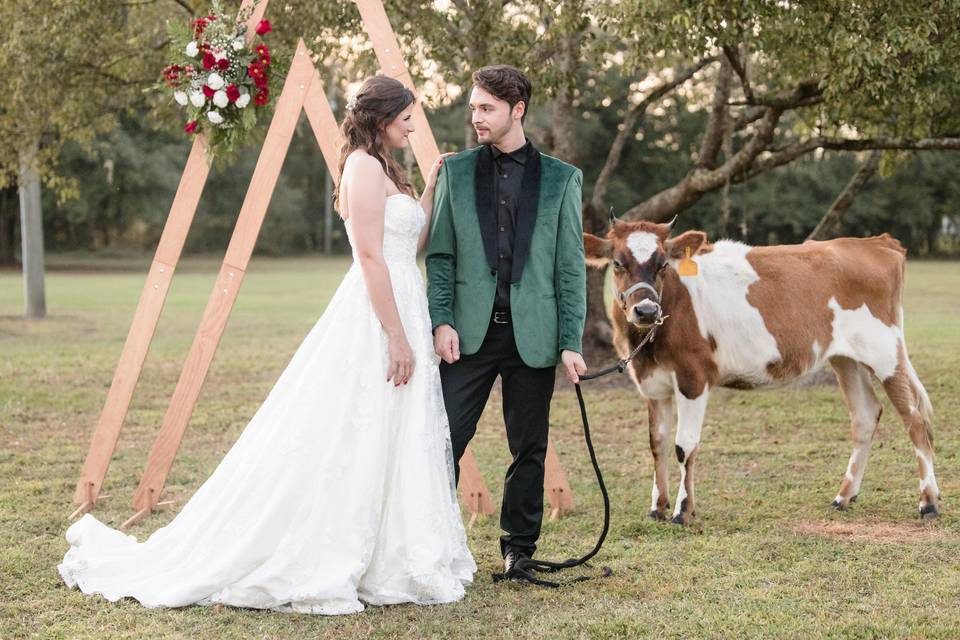 Posing with Caramel the cow