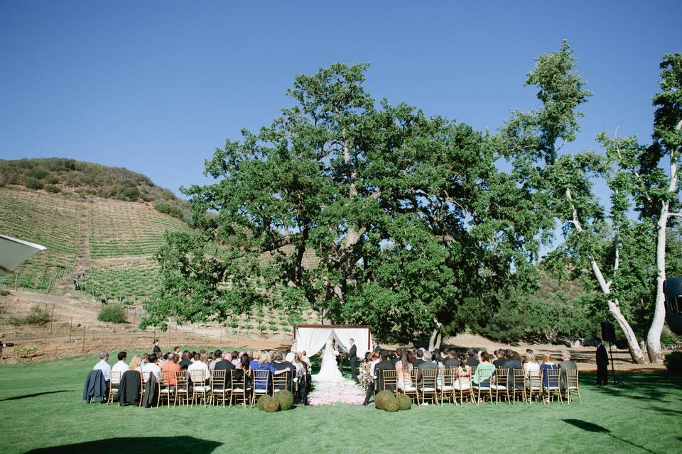 Wedding ceremony area