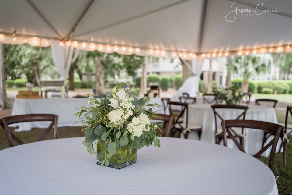 Tent reception