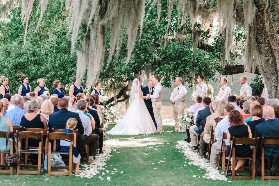 Spanish moss