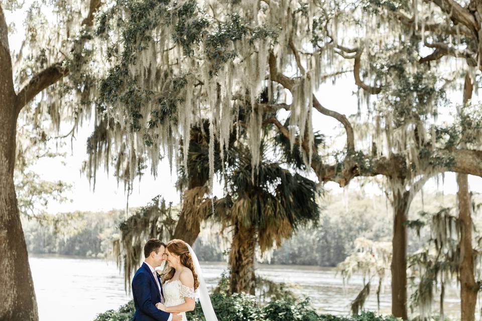 Spanish moss