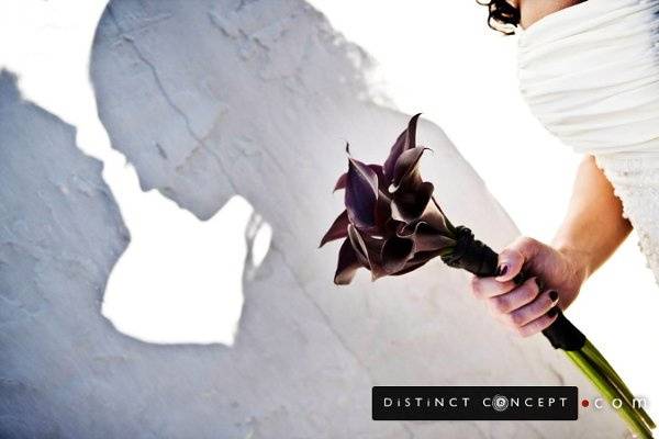 Distinct Concept Photography