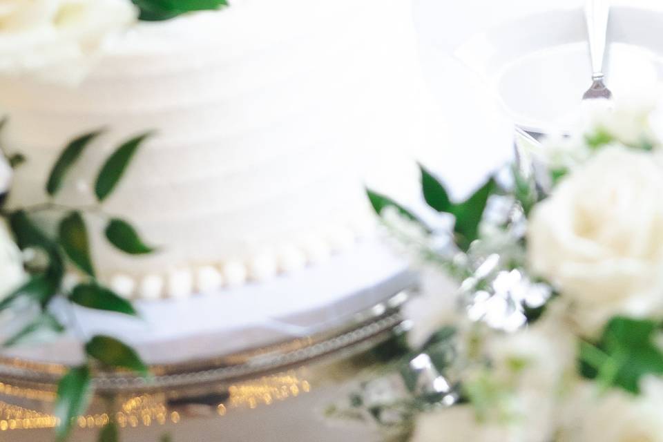 Cake Cutting