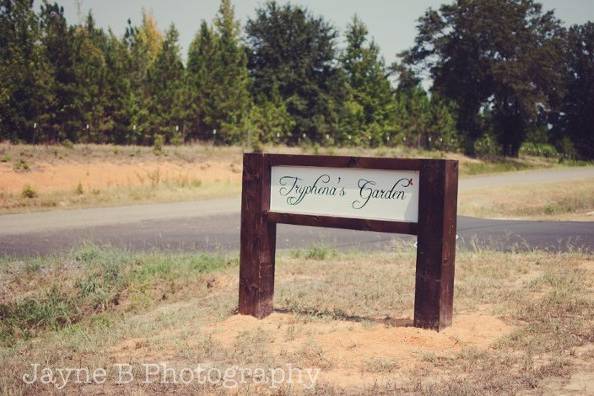 Jayne B Photography