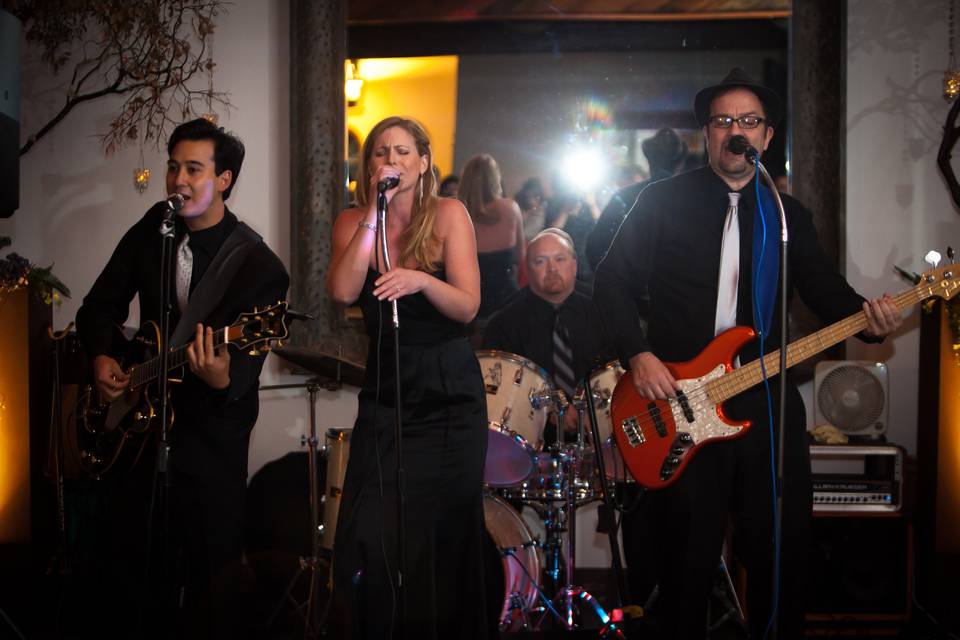 Napa Wedding