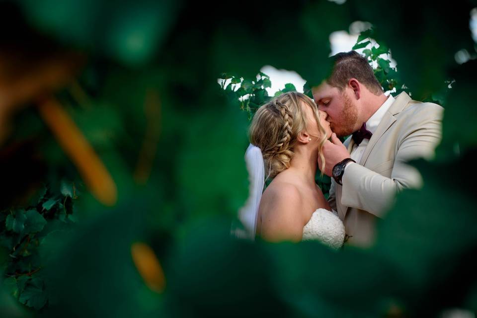 Through the vines