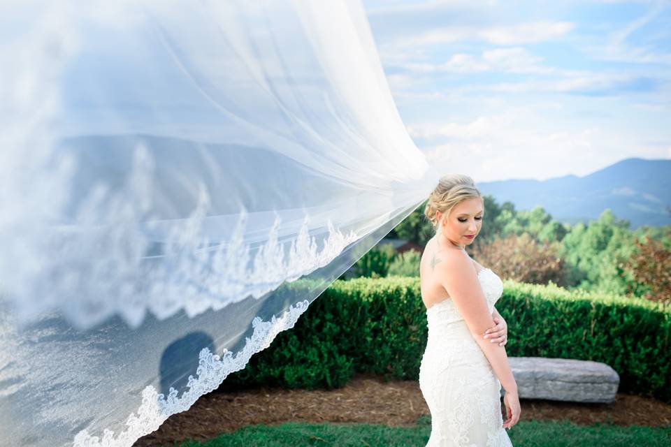 Bridal portraits