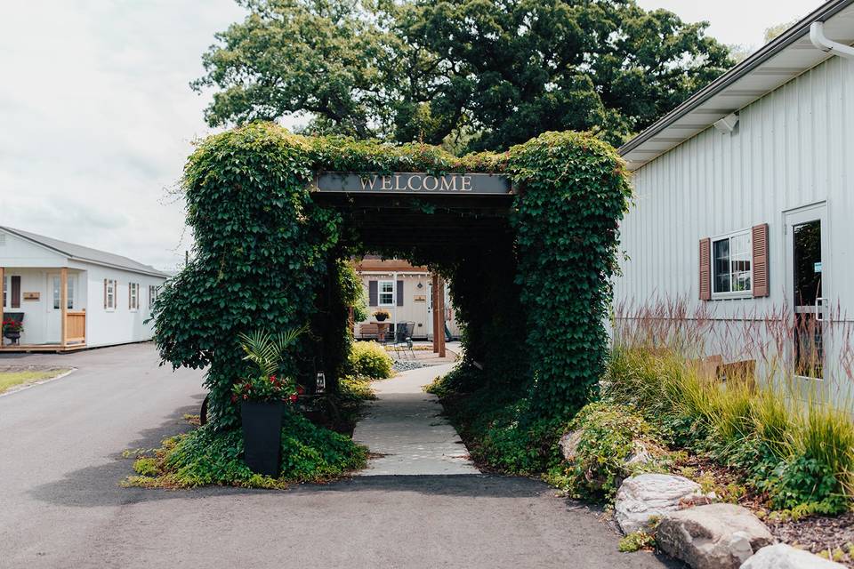 Vine Entrance