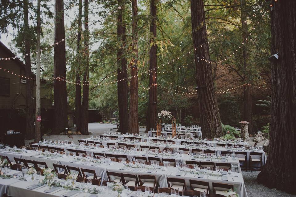 Wedding ceremony setup