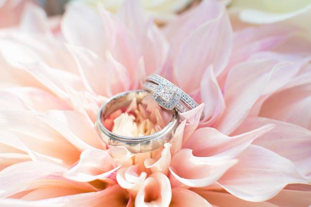 Jenice Baker Photography