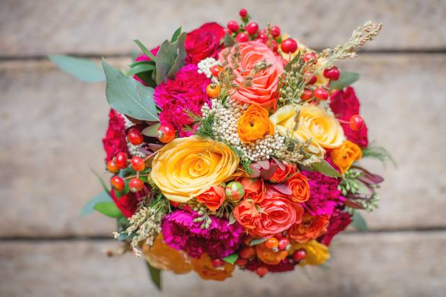 Jenice Baker Photography