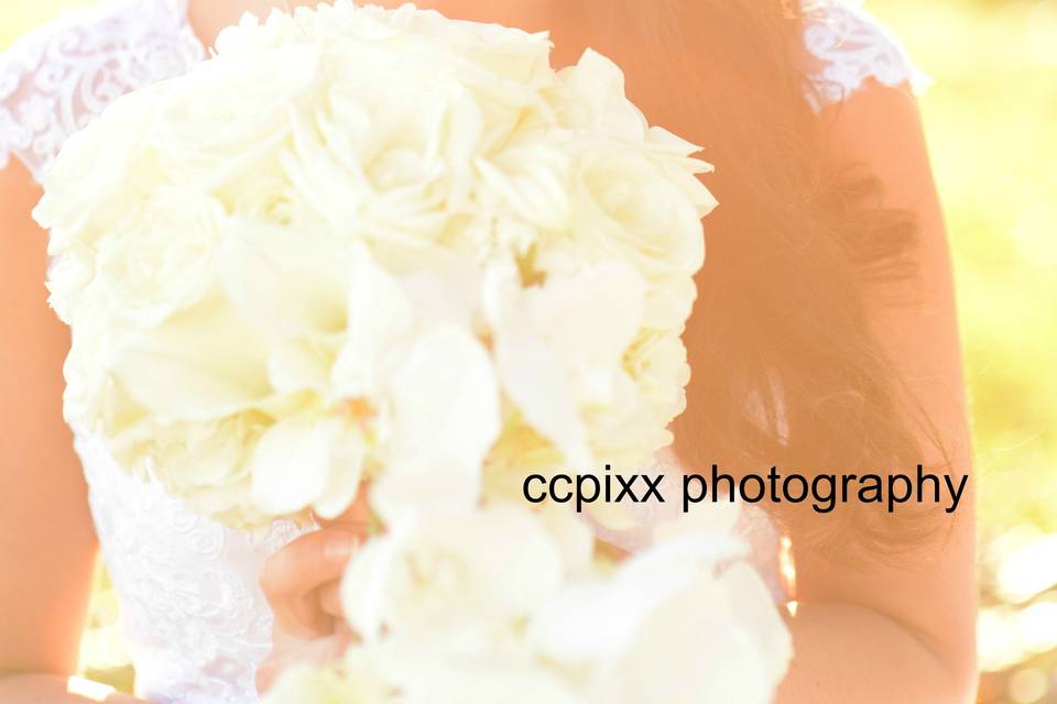 ccpixx photography