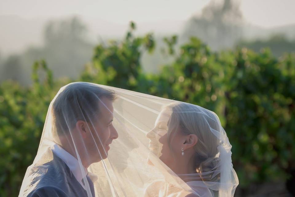 Intimate Wedding in Napa Valle