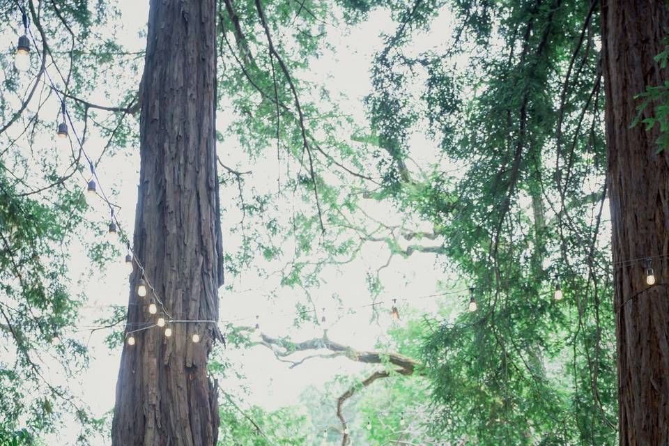 Intimate wedding moments photo