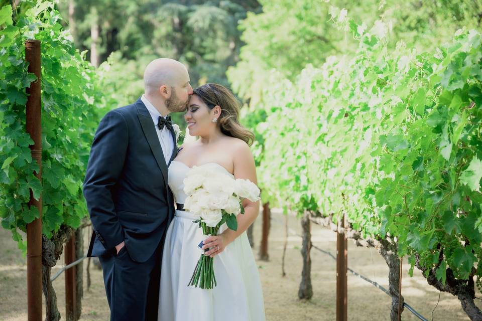 Intimate wedding moments photo