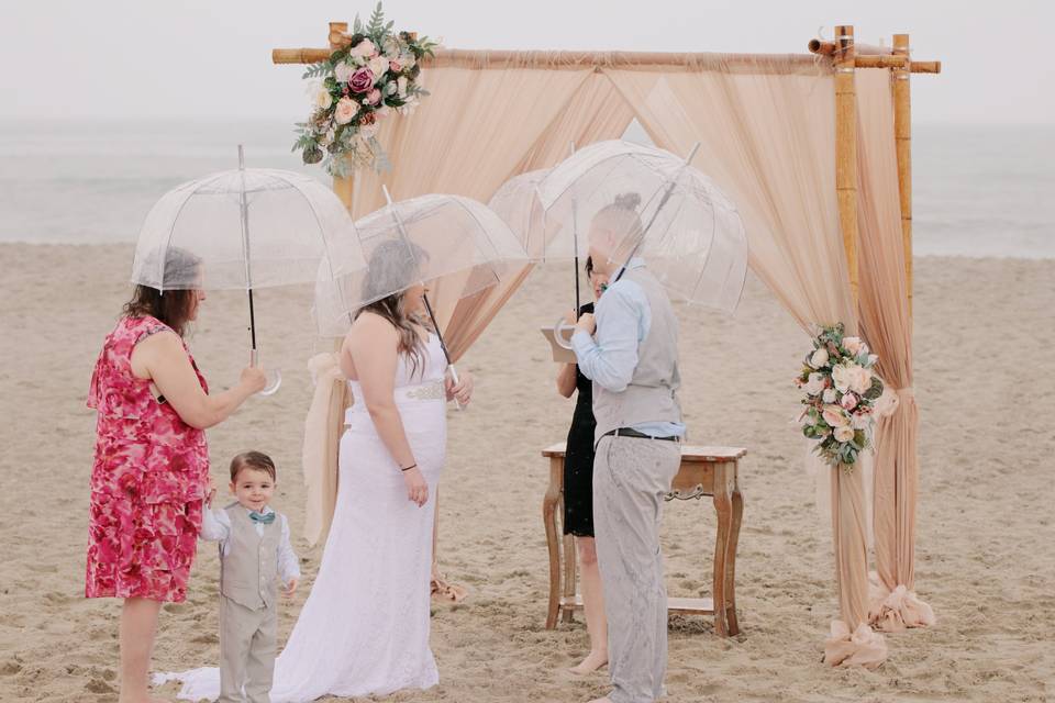 Incredible Beach Weddings