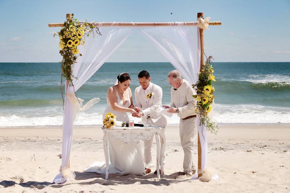 Incredible Beach Weddings