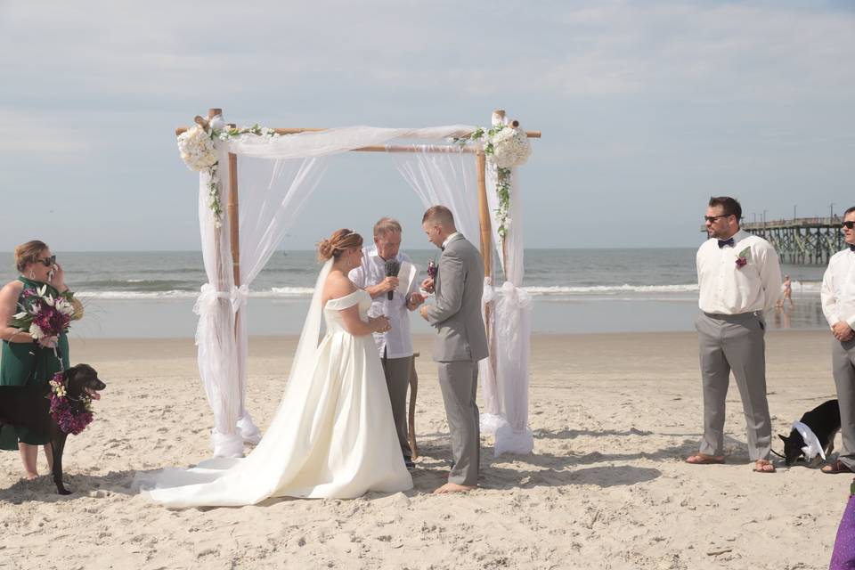 Incredible Beach Weddings